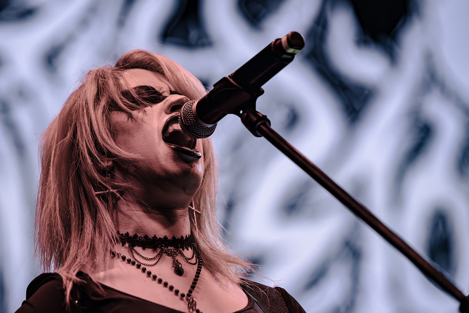 Jinjer - Latin America Duél Tour 2026